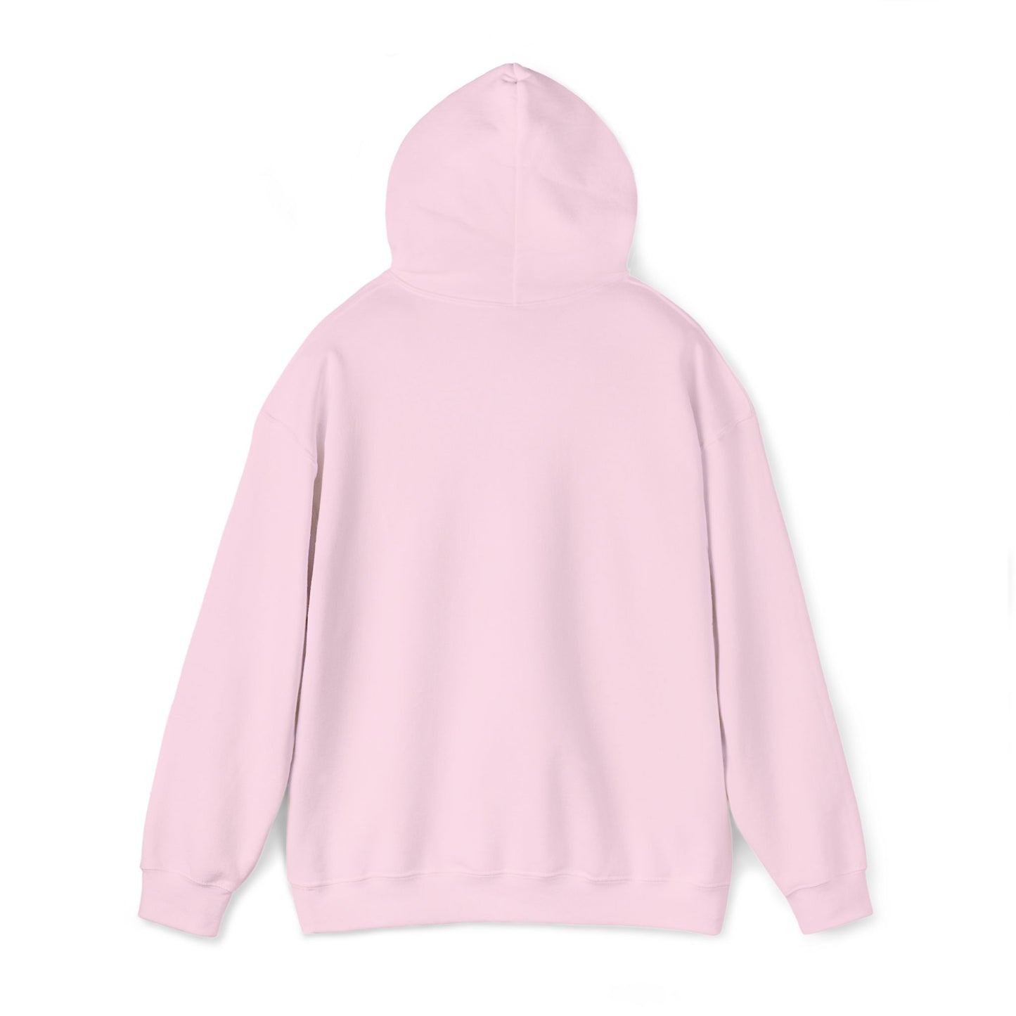 NSH Heavy Blend™ Hooded Sweatshirt