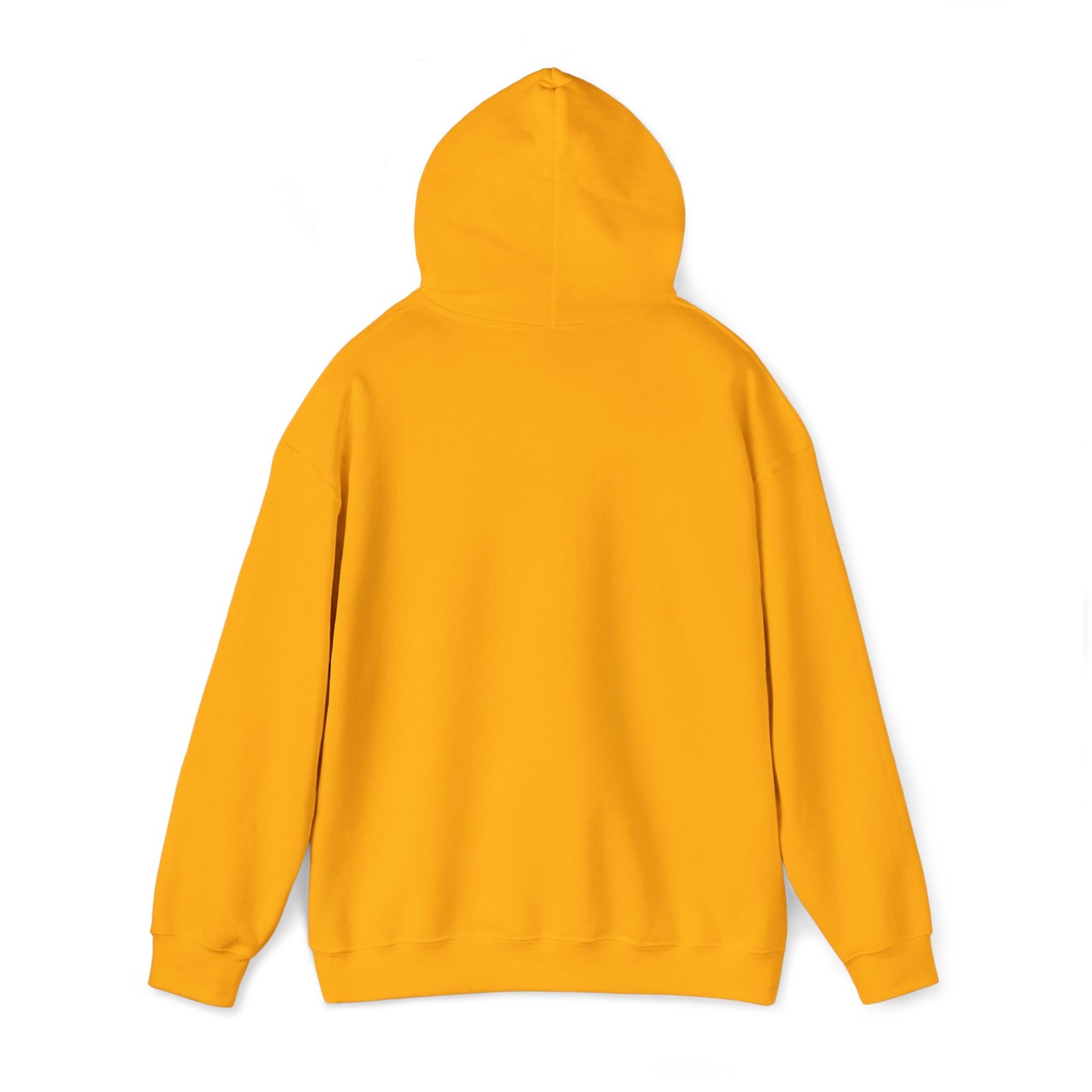 NSH Heavy Blend™ Hooded Sweatshirt