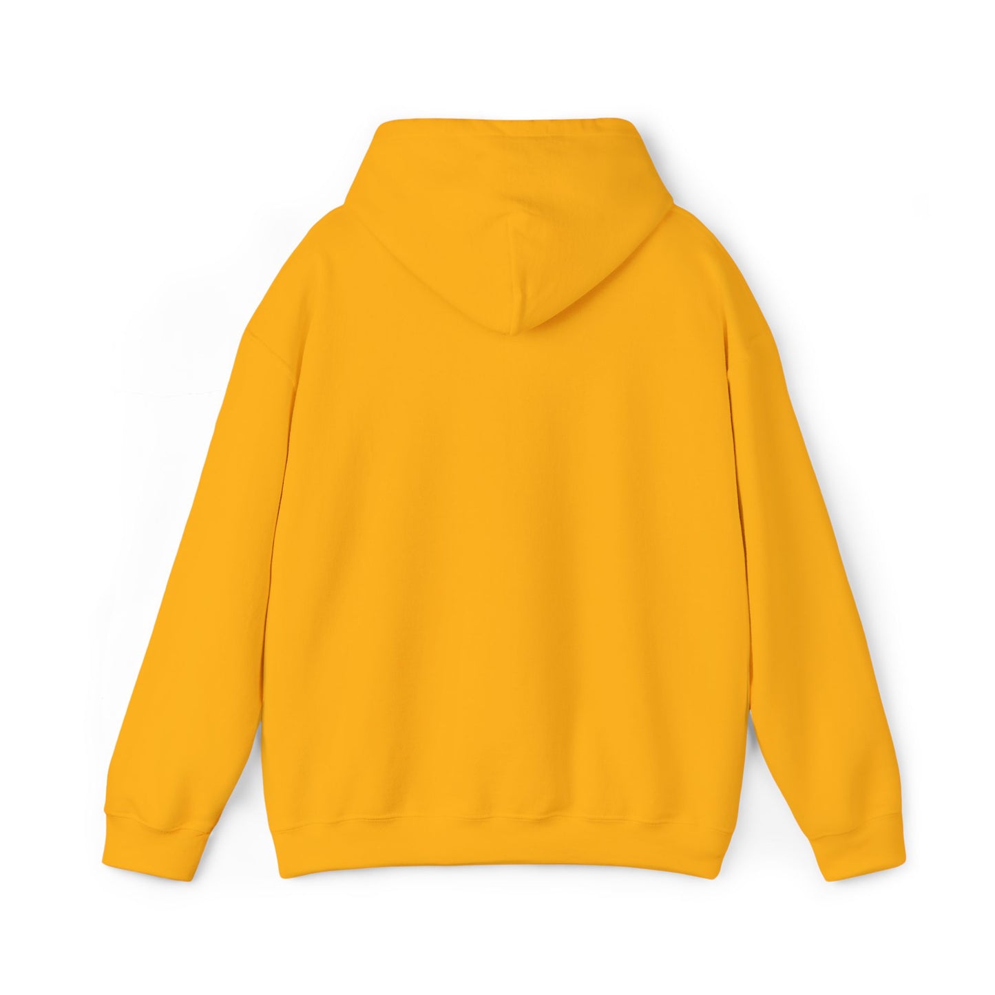 NSH Heavy Blend™ Hooded Sweatshirt